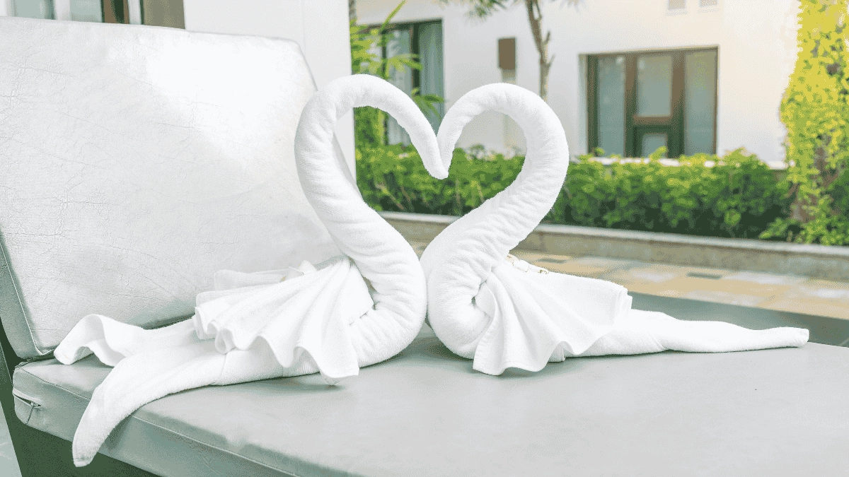 Cisnes hechos con toallas